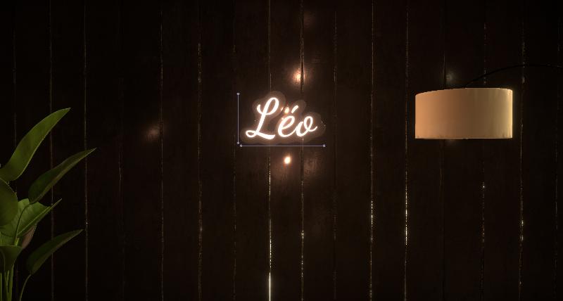 Néon LED — « Léo »